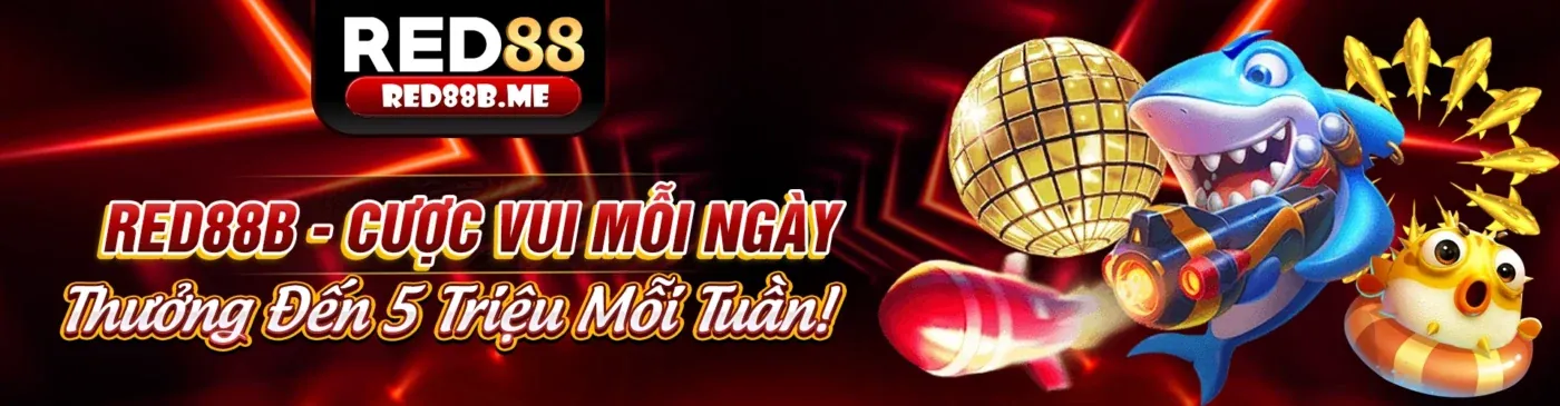Hình ảnh chính blog iun88
