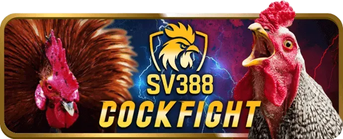 iun88 exclusive promotion analysis